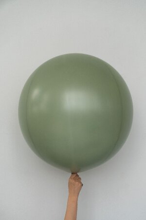 Гелиевый шар эвкалипт 60 см