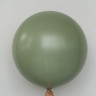 Гелиевый шар эвкалипт 60 см